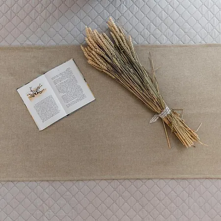 Sunshine Naxos Lejlighed Pláka