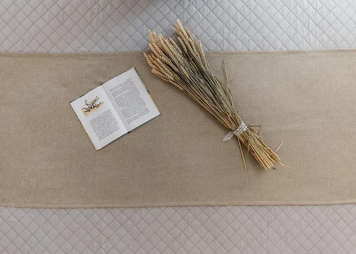 Sunshine Naxos Lejlighed Pláka